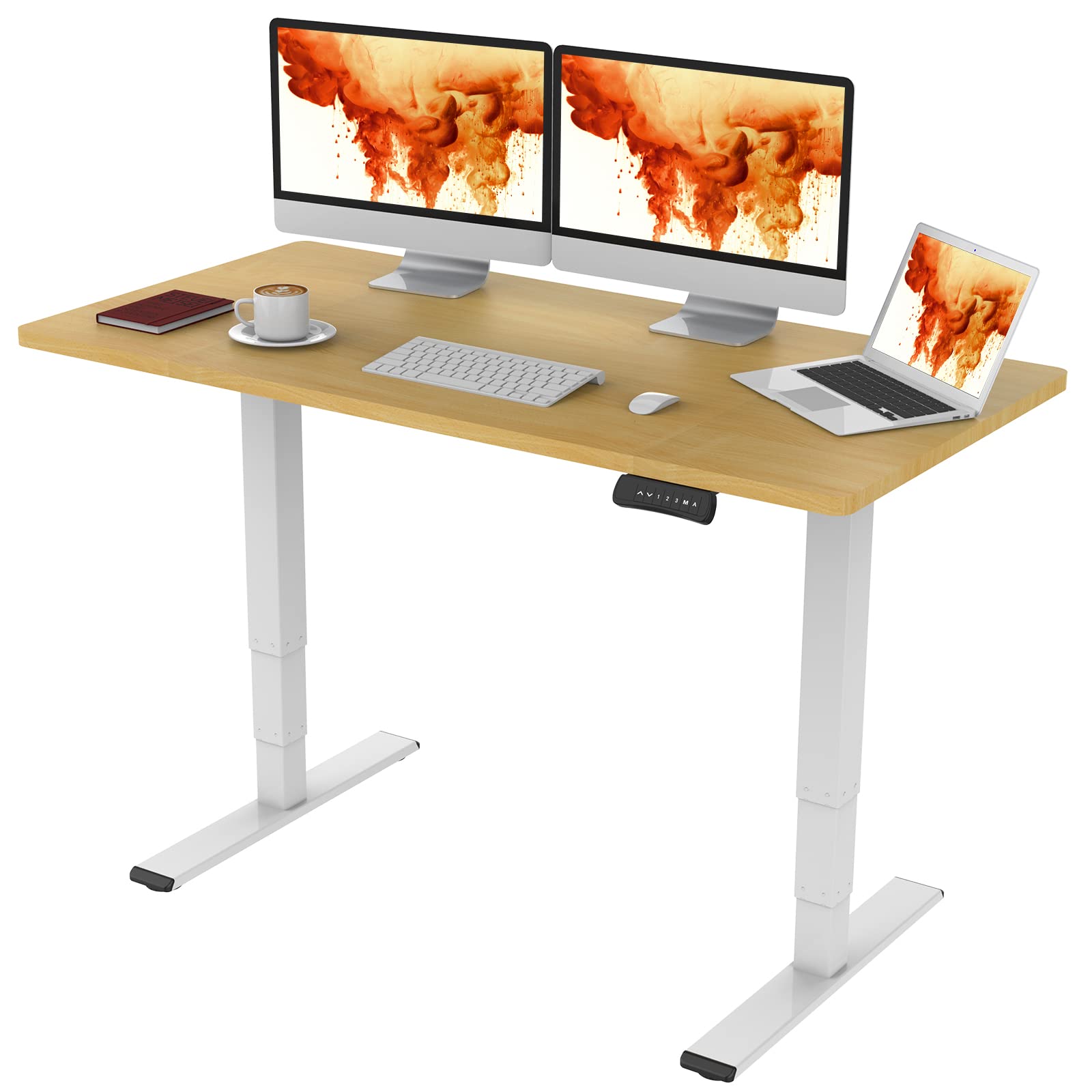 Buy FLEXISPOT Classic 3 Stages Dual Motor Electric Standing Desk 55x28