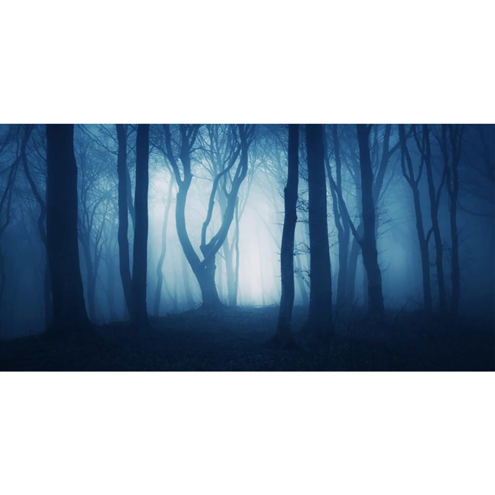 MIRRORANG 61x30cm Spooky Aquarium Background Forest Trees Branches Horror Night Vinyl Background for 20 Gallon Fish Tanks