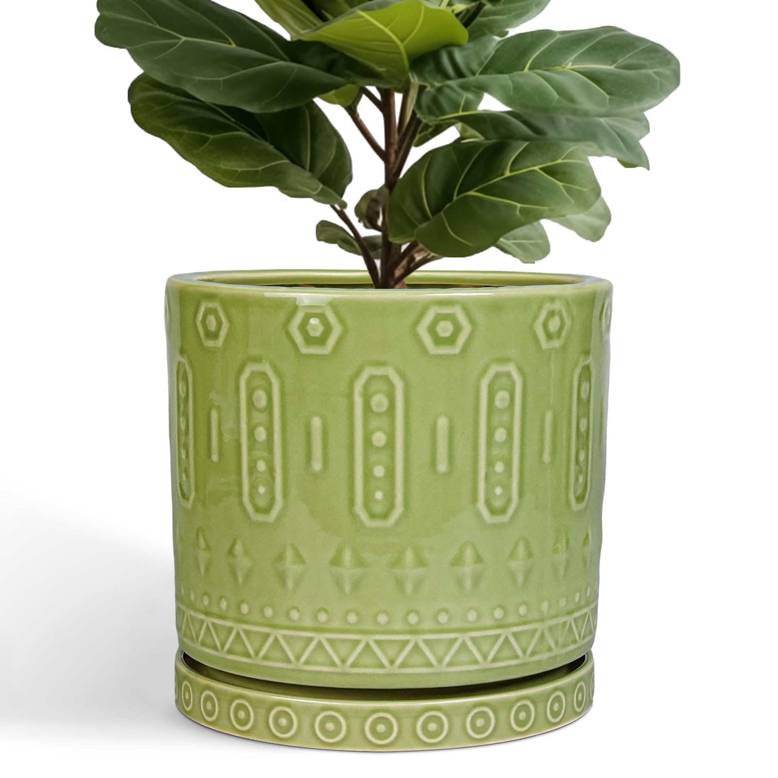 Eightpot Ceramic Planter (12 Inch)