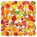 50pcs Transparent maple leaves Sticker for Scrapbooking Water Bottles Laptop Journaling,Cartoon fallen leaves Decal for Teens Planners,Cards, Gifts,Crafts,Art Projects,Glass Potion Bottles(maple leaf)