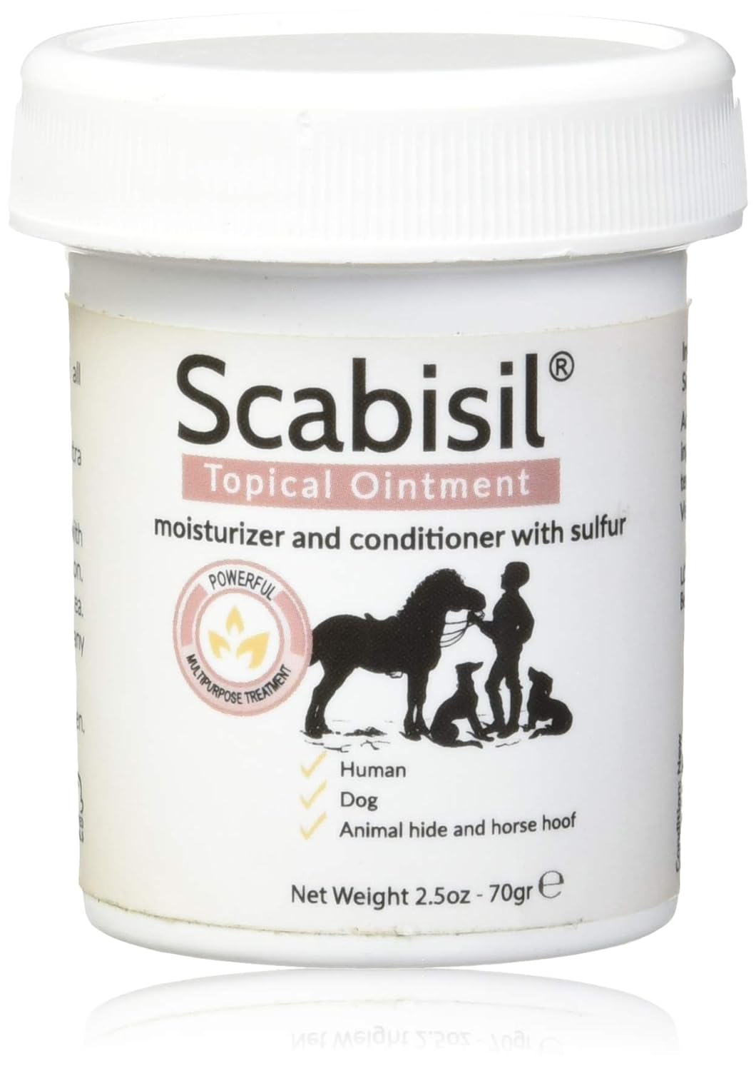Buy Scabisil Topical 10 Sulfur Ointment Relief From Mite Insect Bite