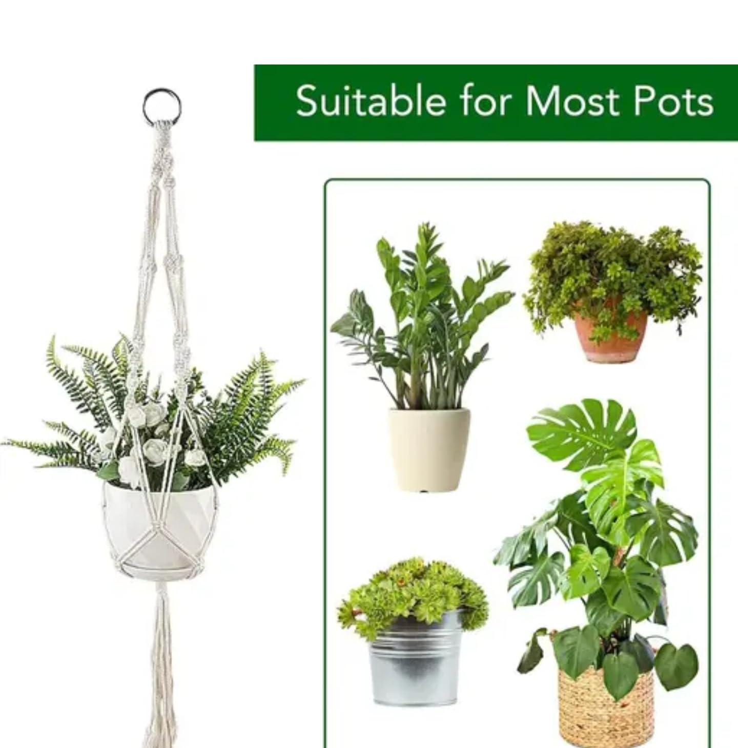 Lot de 6 cintres en macramé pour plantes d'intérieur avec corde en coton blanc pour décoration d'intérieur