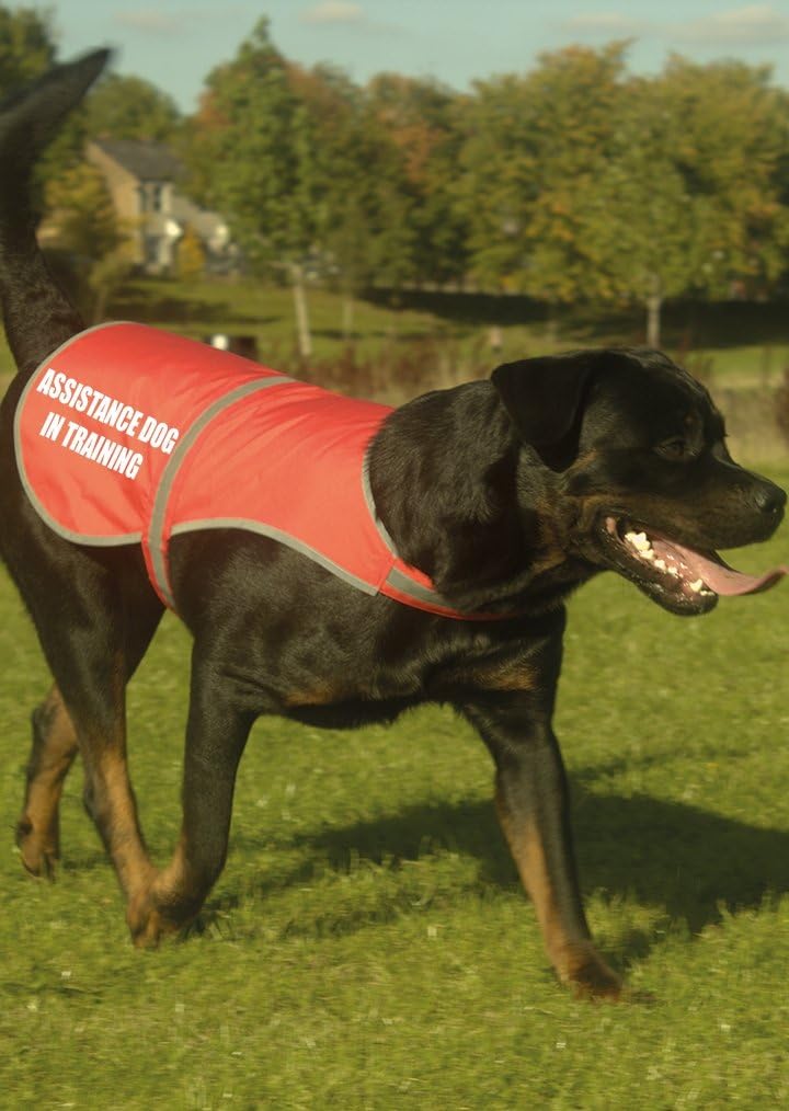 Assistance Dog In Training Printed High Vis Hi Viz Dog Pet Reflective Coat Safety Vest