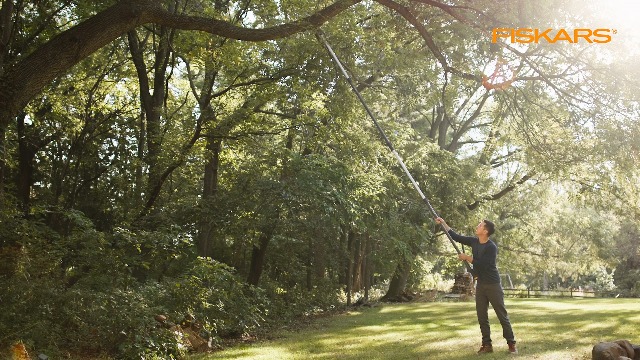 Amazon.com : Fiskars XtendControl 6' Tree Pruner with 15