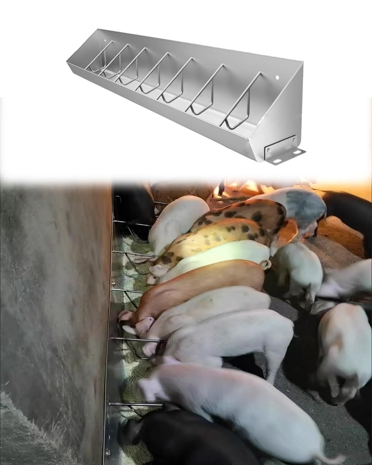 Mangiatoia, mangiatoia per suini in Acciaio Inox Resistente – Lunga 150 cm con 5/8/10 Scomparti, mangiatoia Durevole per suinetti e Forniture agricole, Attrezzatura agricola Essenziale