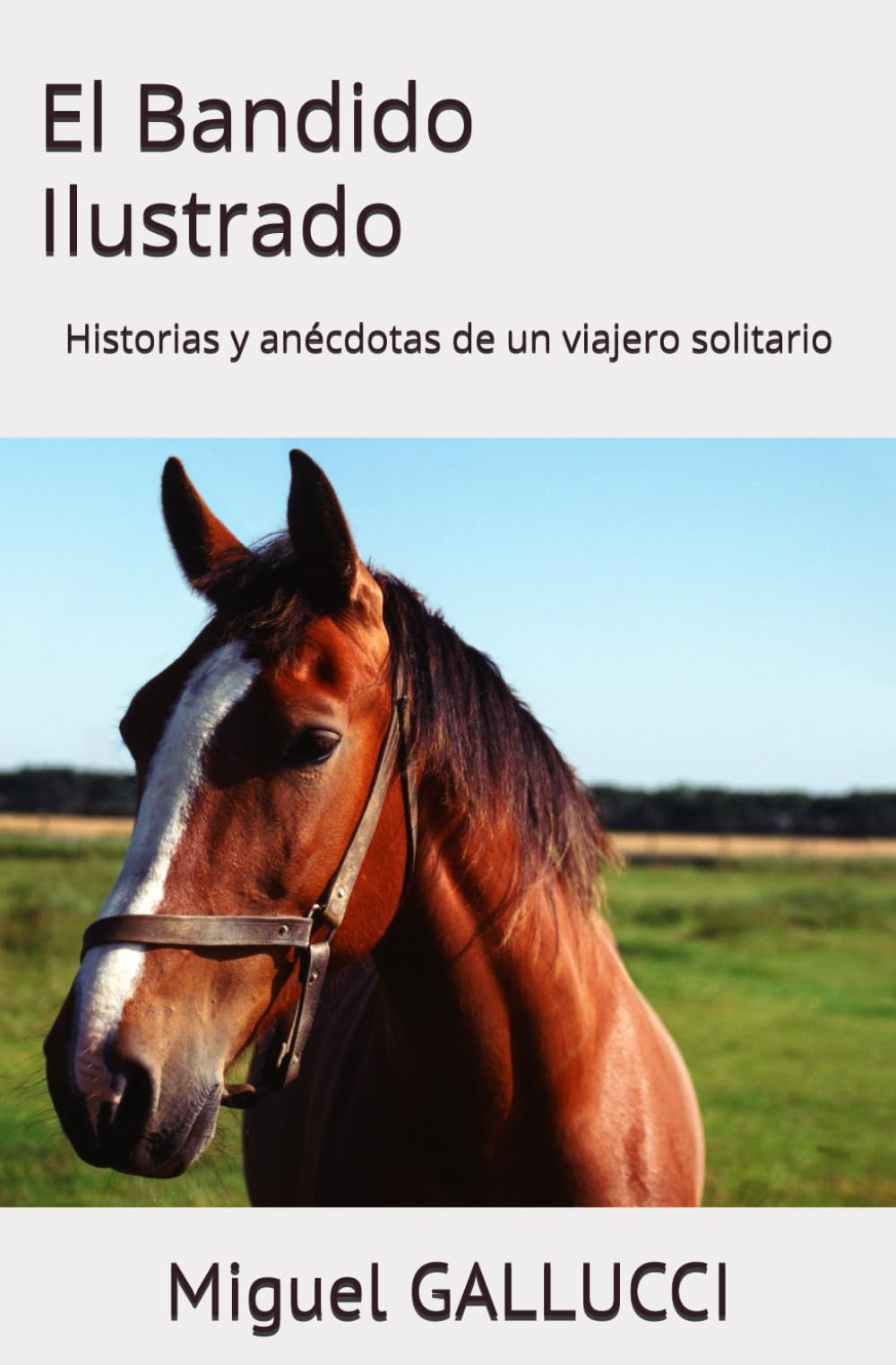 El Bandido Ilustrado: Historias y anécdotas de un viajero solitario