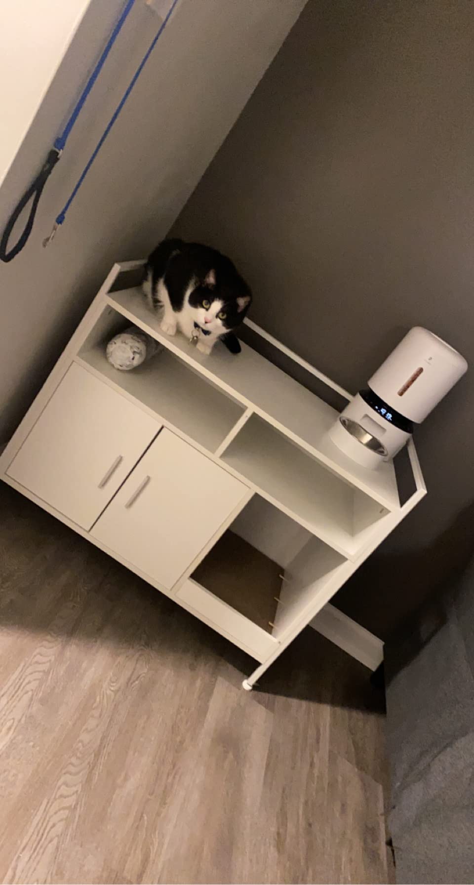 25/mo Finance Corner Litter Box Enclosure, Cat Litter Box Furniture