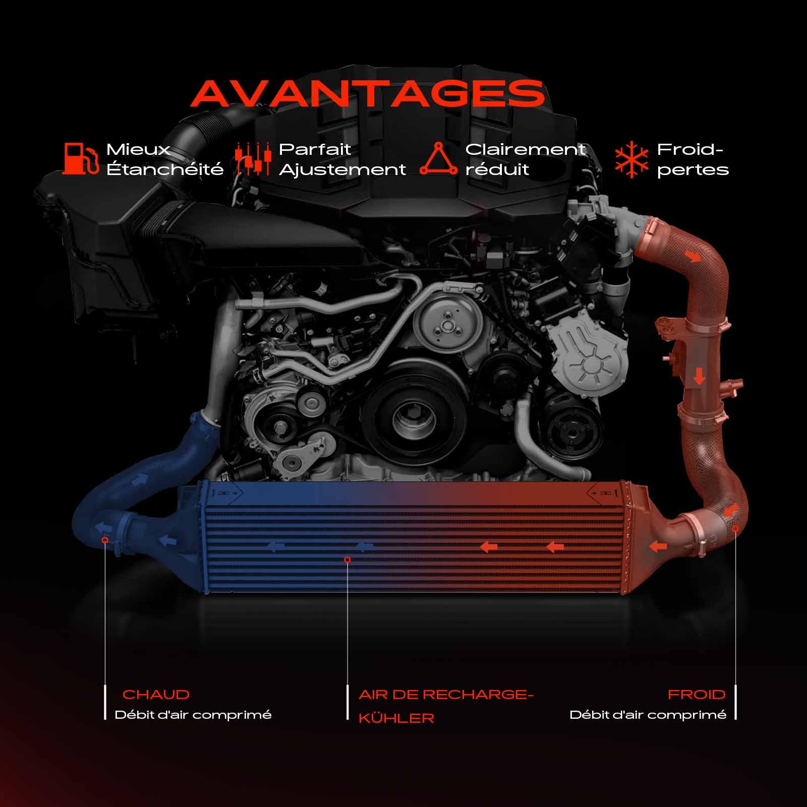 Frankberg Refroidisseur intermédiaire 03F145749B | Compatible avec: A1 Sportback 8XA 8XF, Altea XL 5P5 5P8, R.o.o.m.s.t.e.r 5J7, Polo 6C1 6R1, Golf Plus 521 5M1