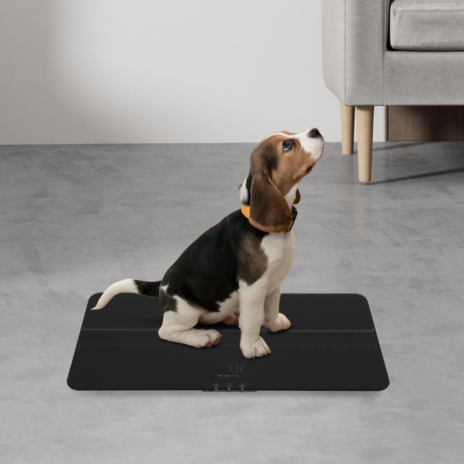 Digitale Hundewaage Haustierwaage Tierwaage für Große Hunde Katzen max. 100kg 10g Genauigkeit LCD-Anzeige 3 Wiegemodi kg lb oz USB-Aufladbar Tara Haltefunktion Breite Plattform (schwarz)