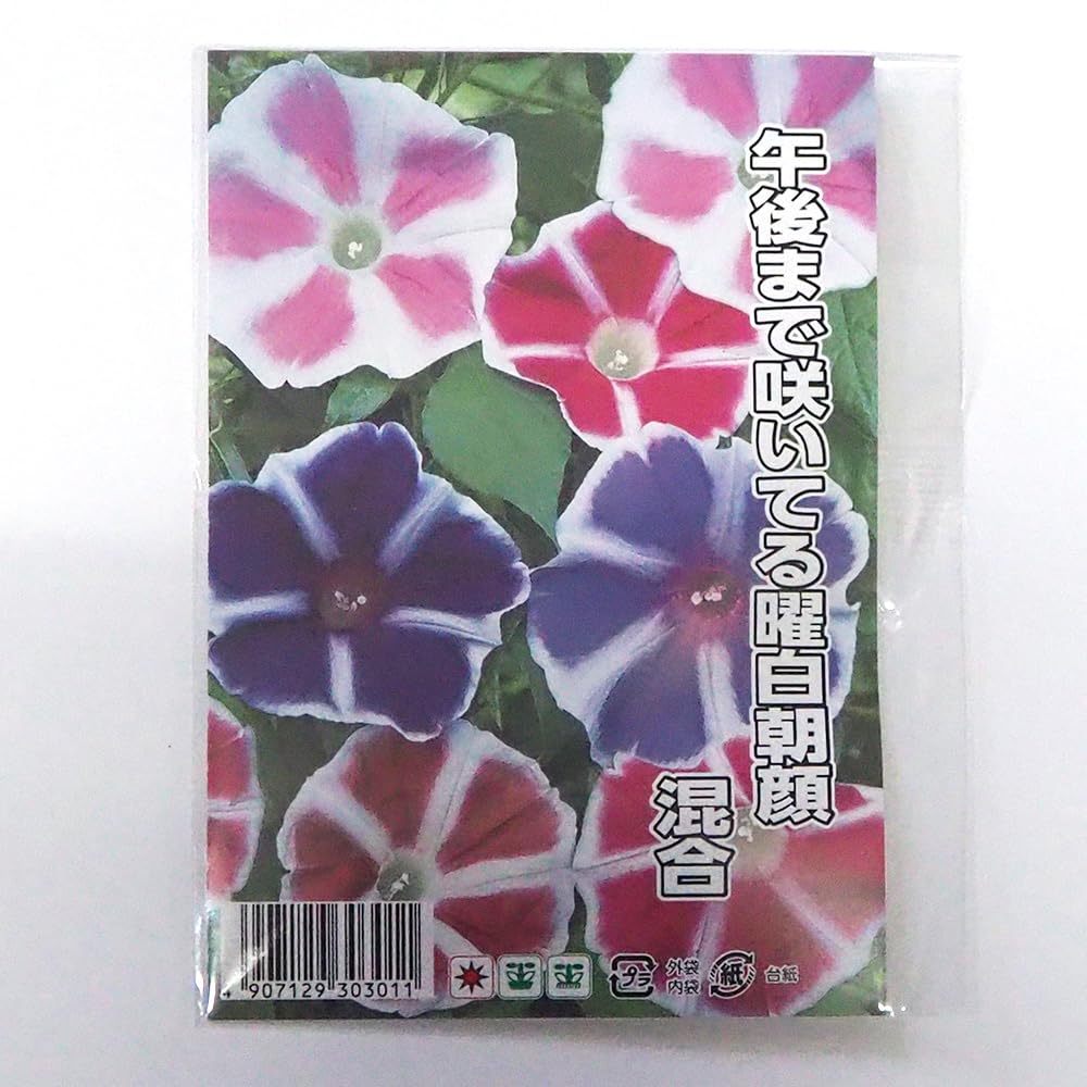 コンラッド　ベア　白　ピンク朝顔 Amazon.co.jp: ITANSE 種子 午後まで咲いてる曜白朝顔 混合 約20