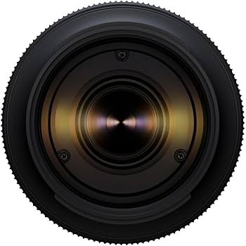 Amazon.com : Tamron 50-400mm f/4.5-6.3 Di III VC VXD Lens for Sony