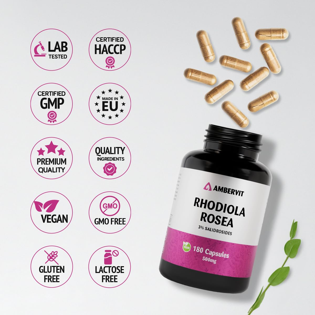 Rhodiola rosea 500 mg 180 gélules Extrait de racine titré à 3 % de salidroside Végan, sans agents de remplissage artificiels, sans allergènes