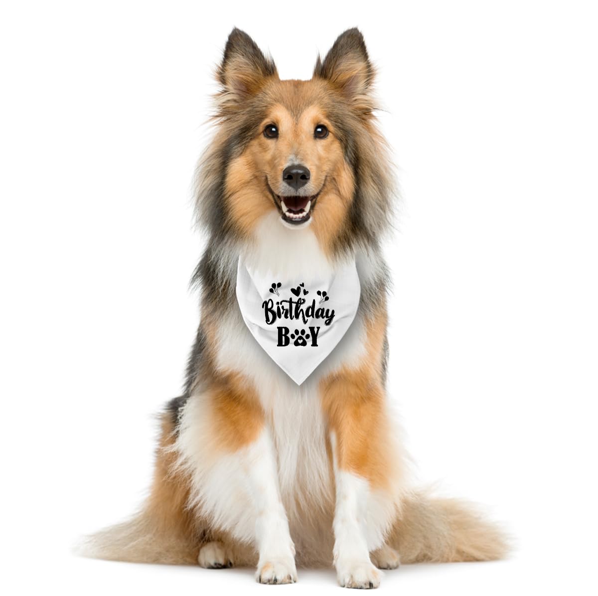 Bandana blanc pour chien d'anniversaire, bandana amusant et mignon pour chien, écharpe triangulaire pour animal de compagnie, accessoire pour amoureux des chiens, bandana pour chiens de petite,