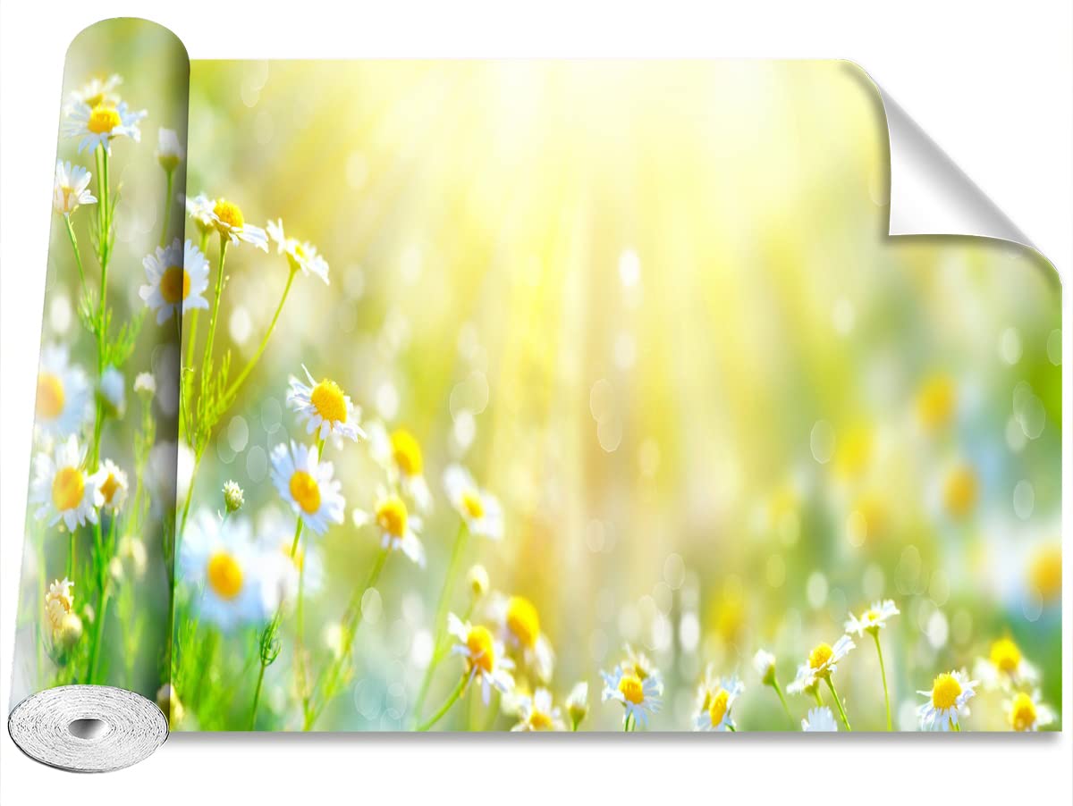 Papier peint fleurs de camomille adhésif et lavable pour protection murale