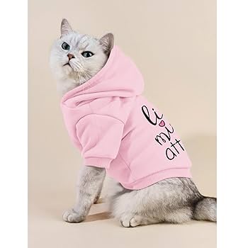 国内で当店のみ PINKSPINK - punk cat masked hoodie Skully Cat Hoodie | Pastel Goth Fashion | Zip up Hoodie, E