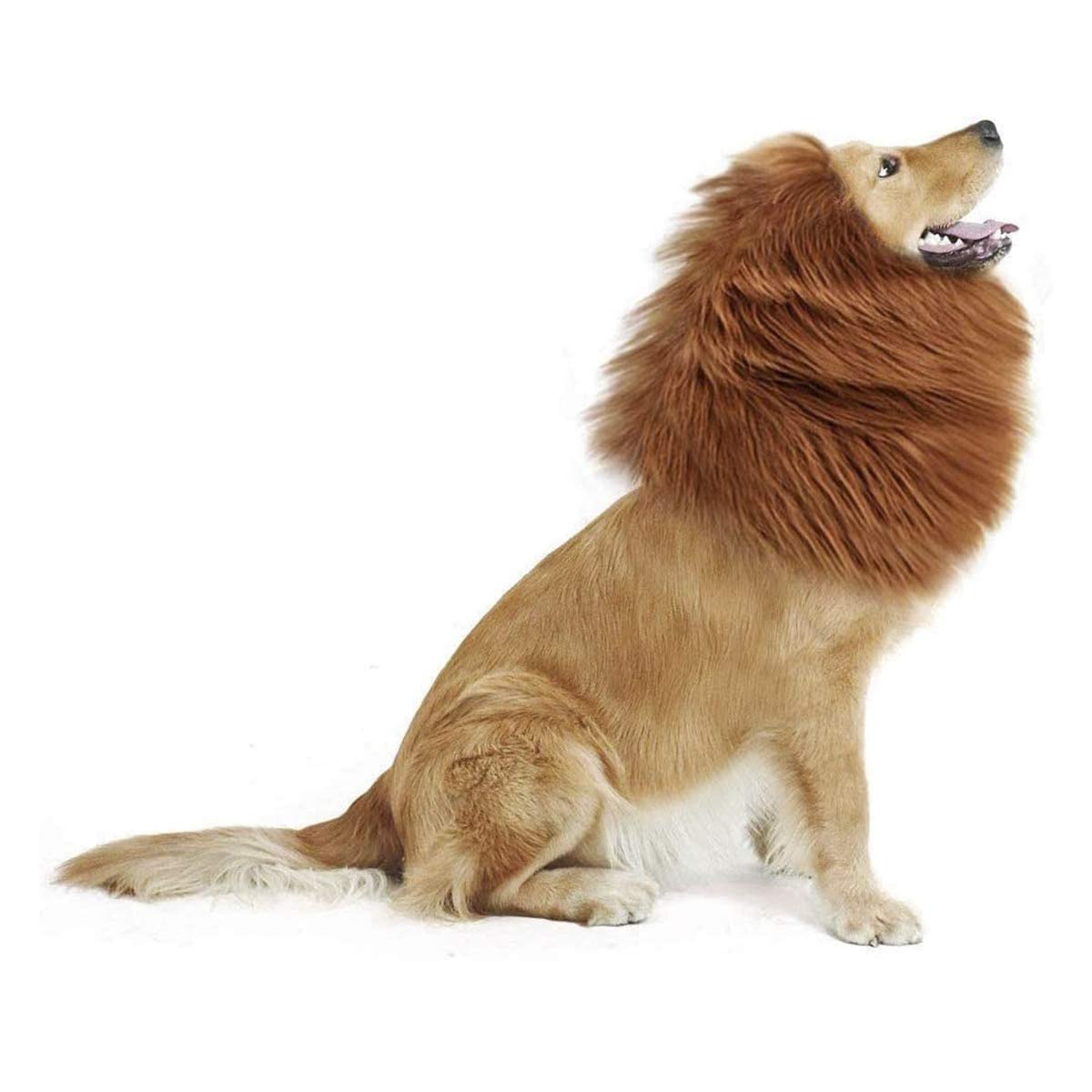 Amazon | 犬 ライオンに変身 ウィッグ 犬コスチューム 犬用 コスプレ
