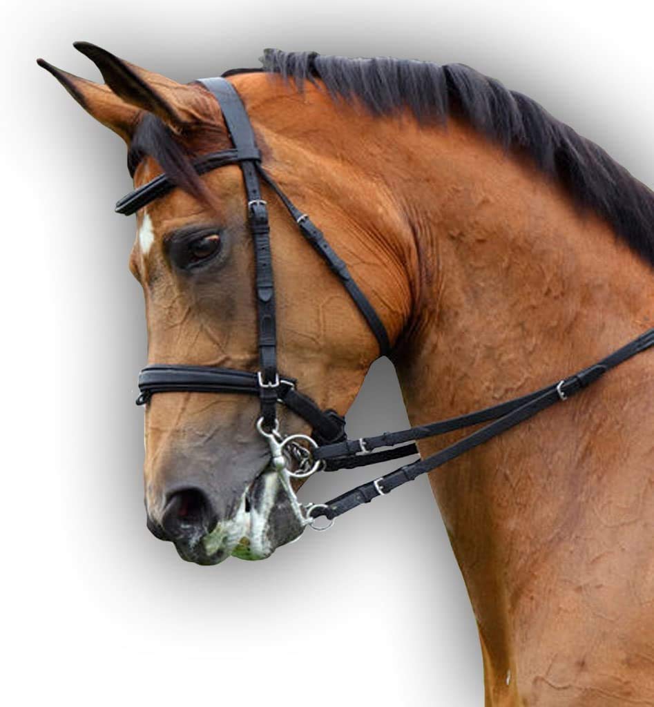 SaddlesworldWorld Soft Padded Leather Bridle