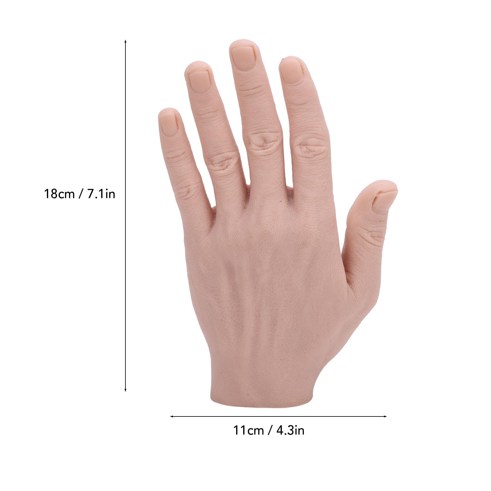 Amazon.co.jp: シリコンマネキンハンド、シリコン男性ハンドモデル再