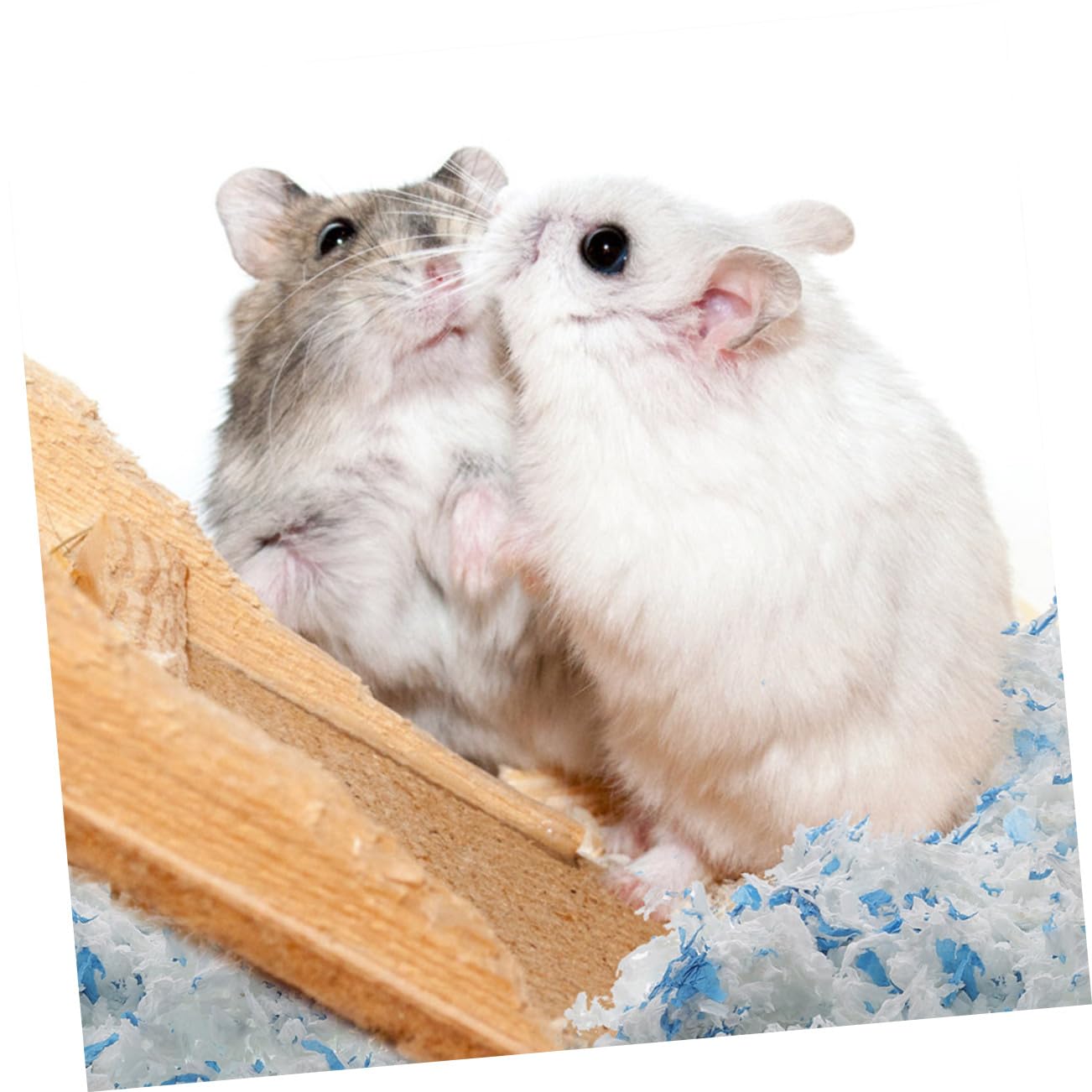 Hobelspäne Einstreu 2 Beutel für Hamster und Kaninchen staubarm Papierstreu weich warm 25kg für Kleine Haustierkäfige