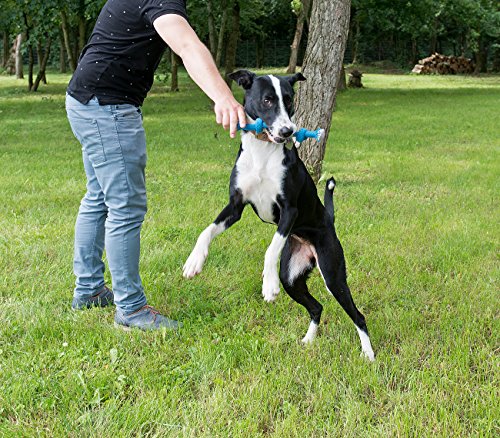 Sweetypet Wurfspiel für den Hund: 10er-Set Bunte Hundespielzeuge aus Baumwolle zum Kauen und Toben (Hunde Bedarf, Hundespiele)