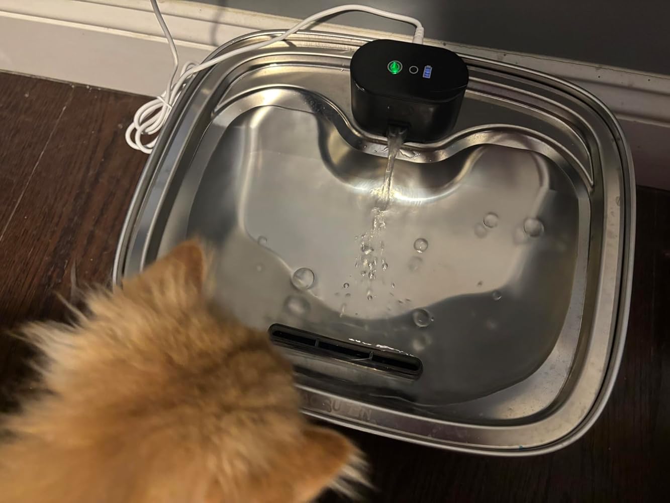 Automatic Dog Water Dispenser 10L – Large Capacity Fountain with Filter & App Monitoring