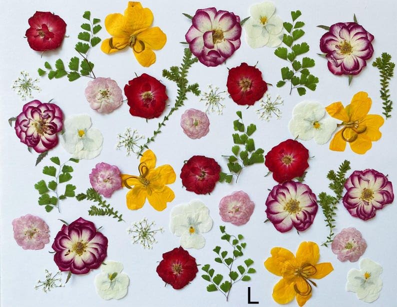 60 piezas de flores y hojas prensadas comestibles para decoración miniatura 7