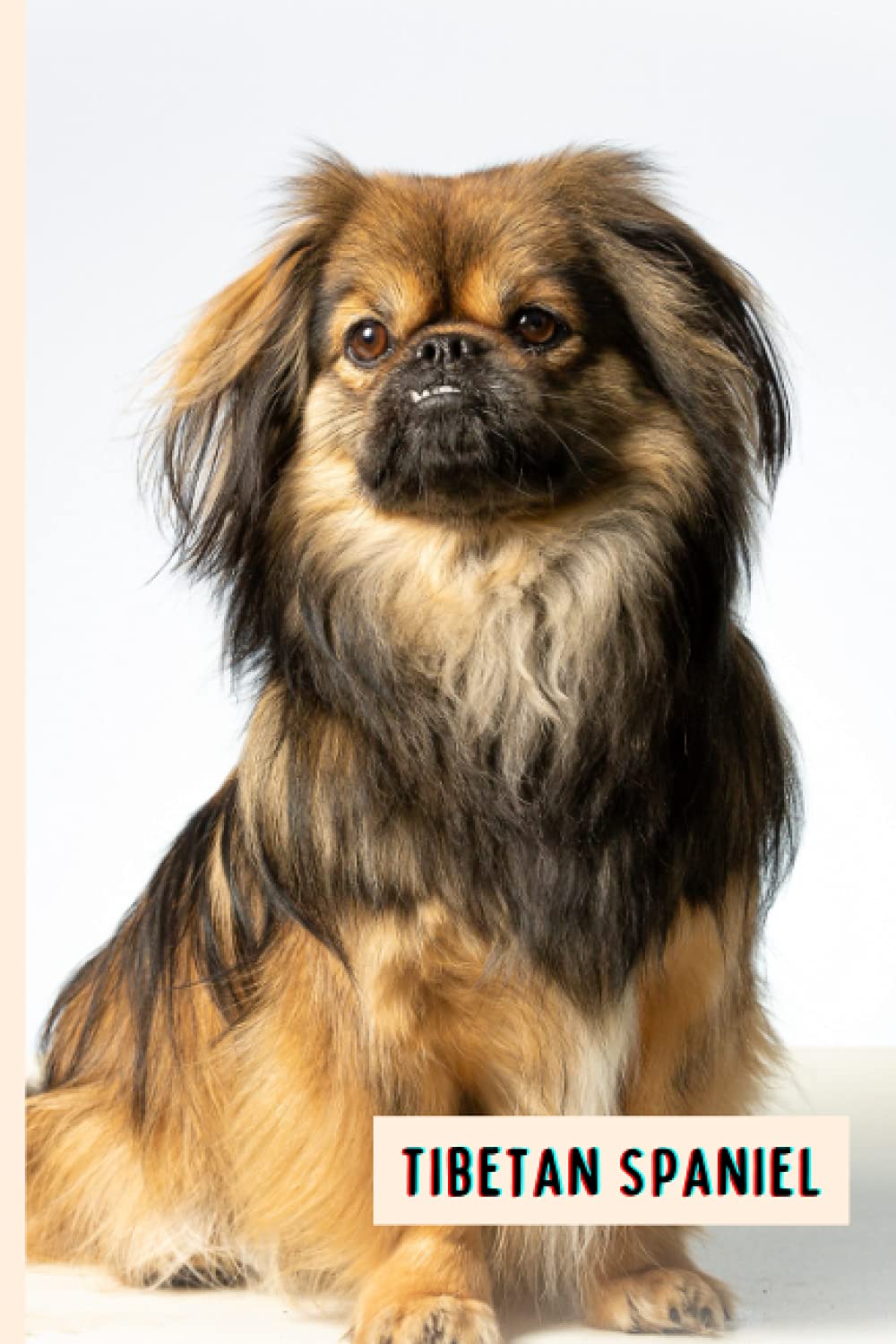 Tibetan Spaniel: Composition Notebook For Tibetan Spaniel Lovers , Tibetan Spaniel Lined Journal ,6x9 Inches , 110 Pages ,Tibetan Spaniel Diary
