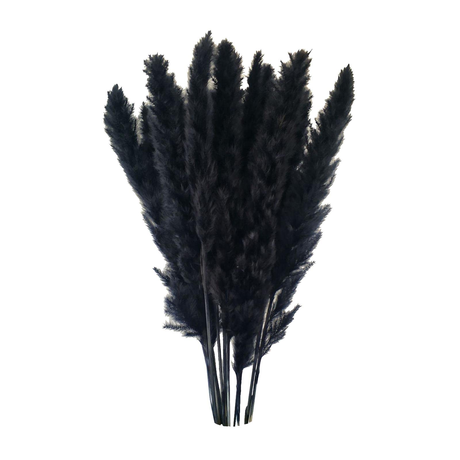 Sztuczne rośliny girlandy kwiaty, 5x 15pcs suszone pampas trawa trzcina trzcinowa bukiet dom domowy ślub boho wystrój domowy parametra