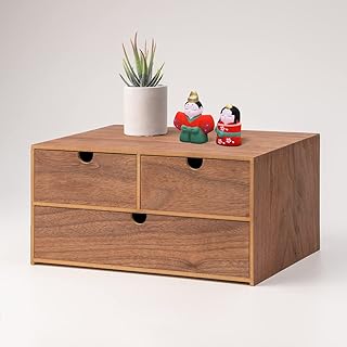 上質で快適 引き出し収納 小物入れ 木製 完成品 幅40cm 引き出し 小物収納 おしゃれ リビング収納 両面引き出し 収納ラック 安い Shriharshamnews Com