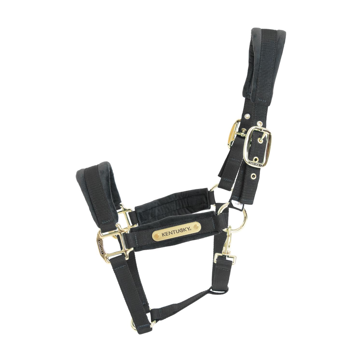 Kentucky Horsewear - Halfter - Samt - Schwarz - Cob