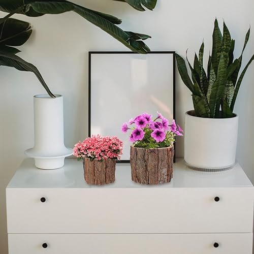 Miniatura 6 de YARNOW Maceta de tocón de árbol, maceta rústica de corteza para suculentas, contenedor de plantas pequeñas, 2 tamaños, ideal para decoración del