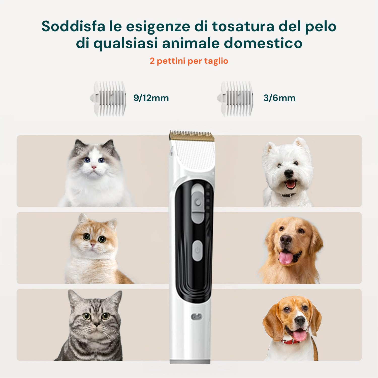 Kit Toelettatura 3in1 per Cani e Gatti - Spazzola, Tosatrice e Aspirapeli – 3 Velocità 350W - Serbatoio 2L e Tubo 1,6m - Toelettatura Completa per Pelo Lungo e Corto - 22x32x13cm