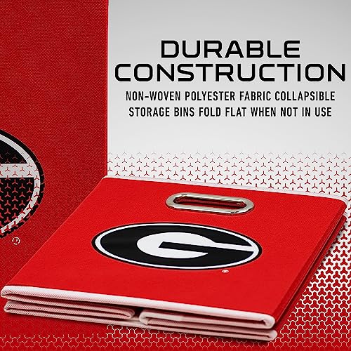 Image of Franklin Sports NCAA Storage Bin