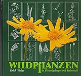 Wildpflanzen in Fichtelgebirge und Steinwald - Erich Walter