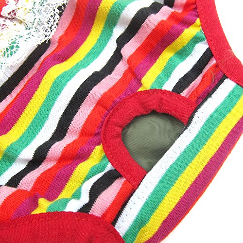 Alfie Pet - Alysia Diaper Dog Sanitary Pantie With Suspender 3-Piece Set For Girl Dogs - Size: Large #TOP5