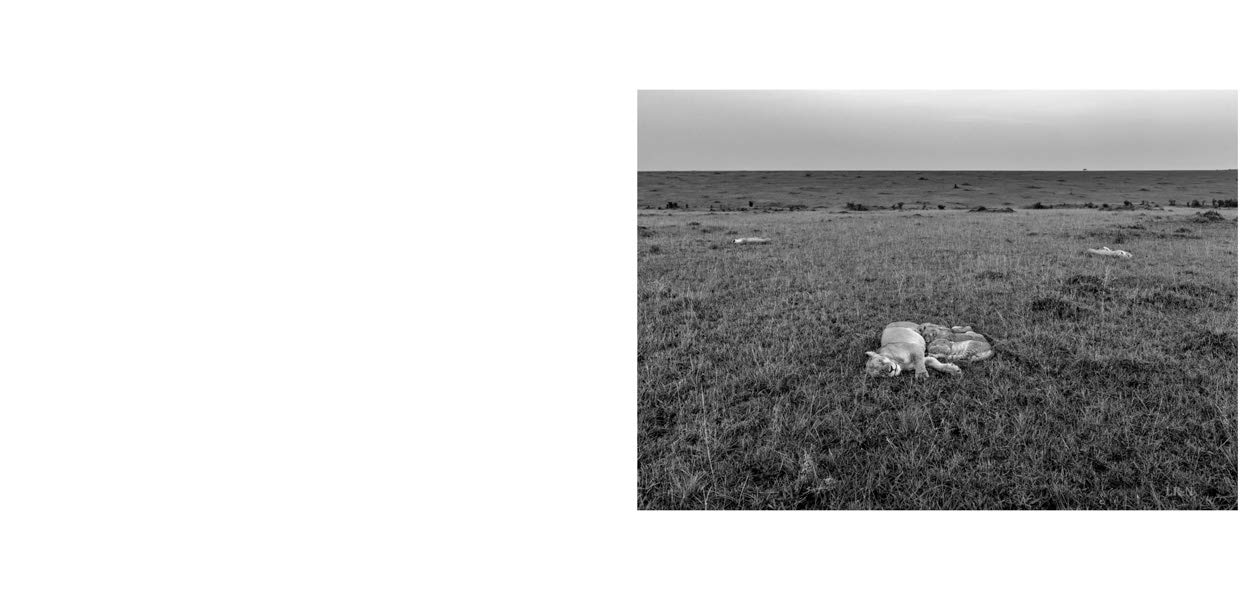 Nor dread nor hope attend: Photographs From The Plains of Africa