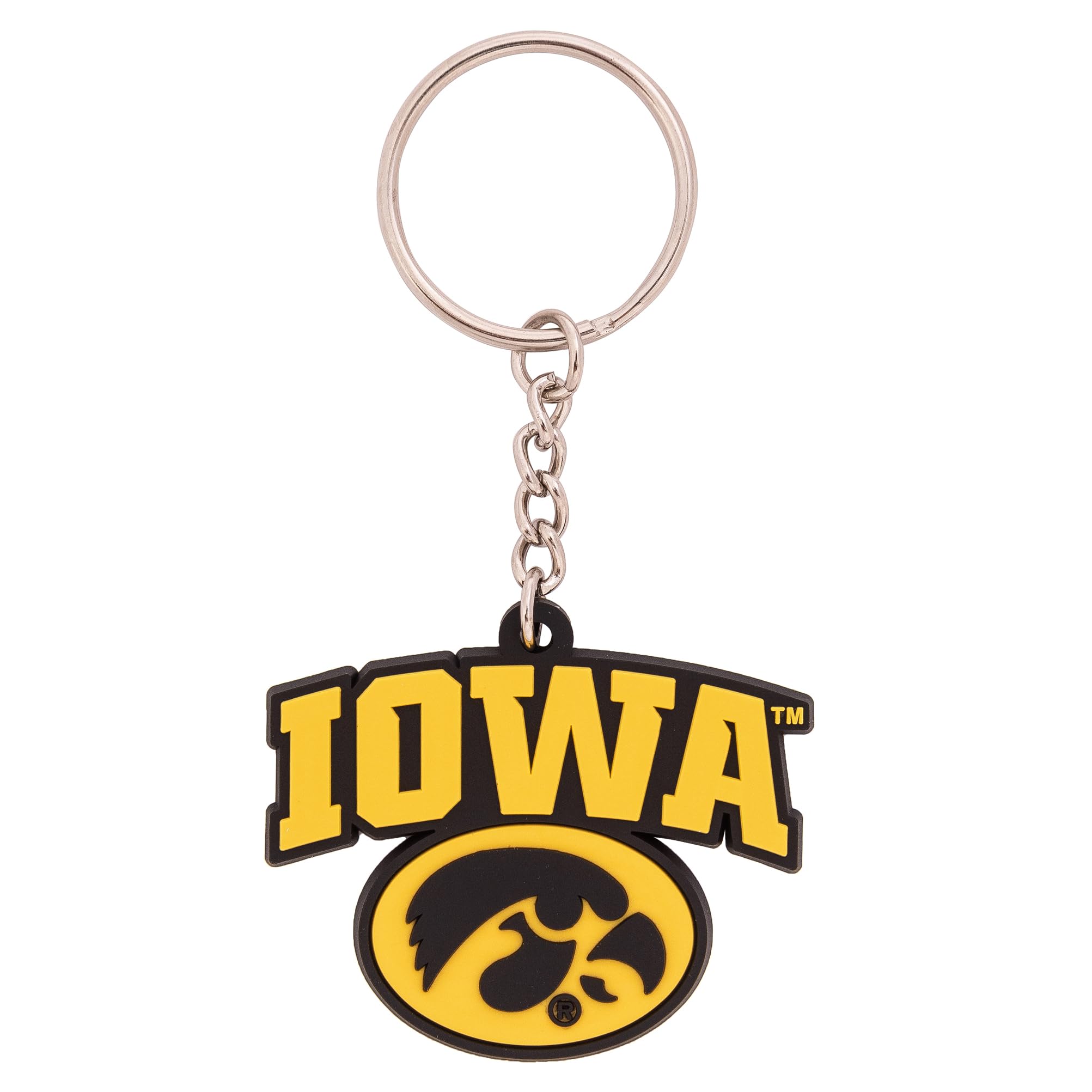 Desert Cactus University of Iowa Keychain Hawkeyes Car Keys Holder (PVC C)