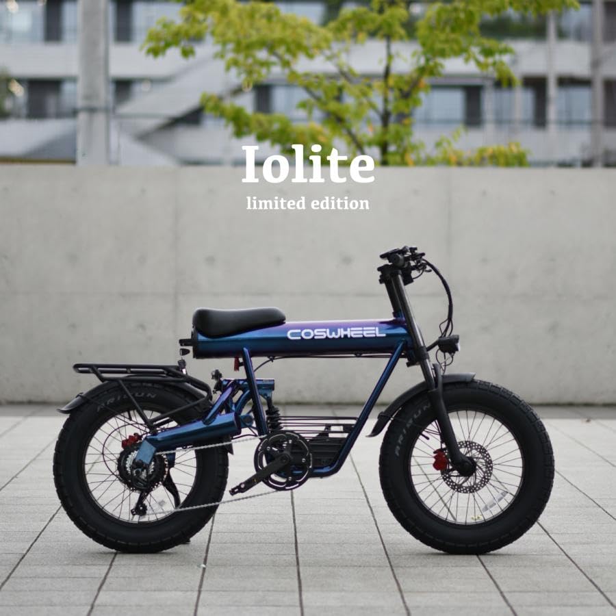 2025年 COSWHEEL MIRAI COMFORT 2025 NEW MODEL COSWHEEL MIRAI COMFORT 電動アシスト自転車