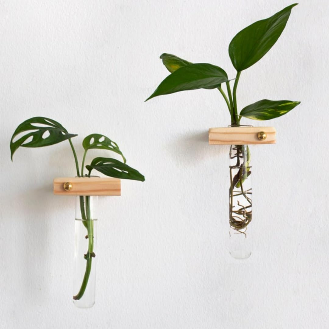Adiy |2K4| Wall Hanging Glass Planter Modern Test Tube Flower Bud Vase Wood Stand Rack Terrarium Hydroponic Plants for Office Home Decoration, Gift Plant Lover Style (Pack of 2) (2) (B0BHJHXNSN) Amazon Price History, Amazon Price Tracker