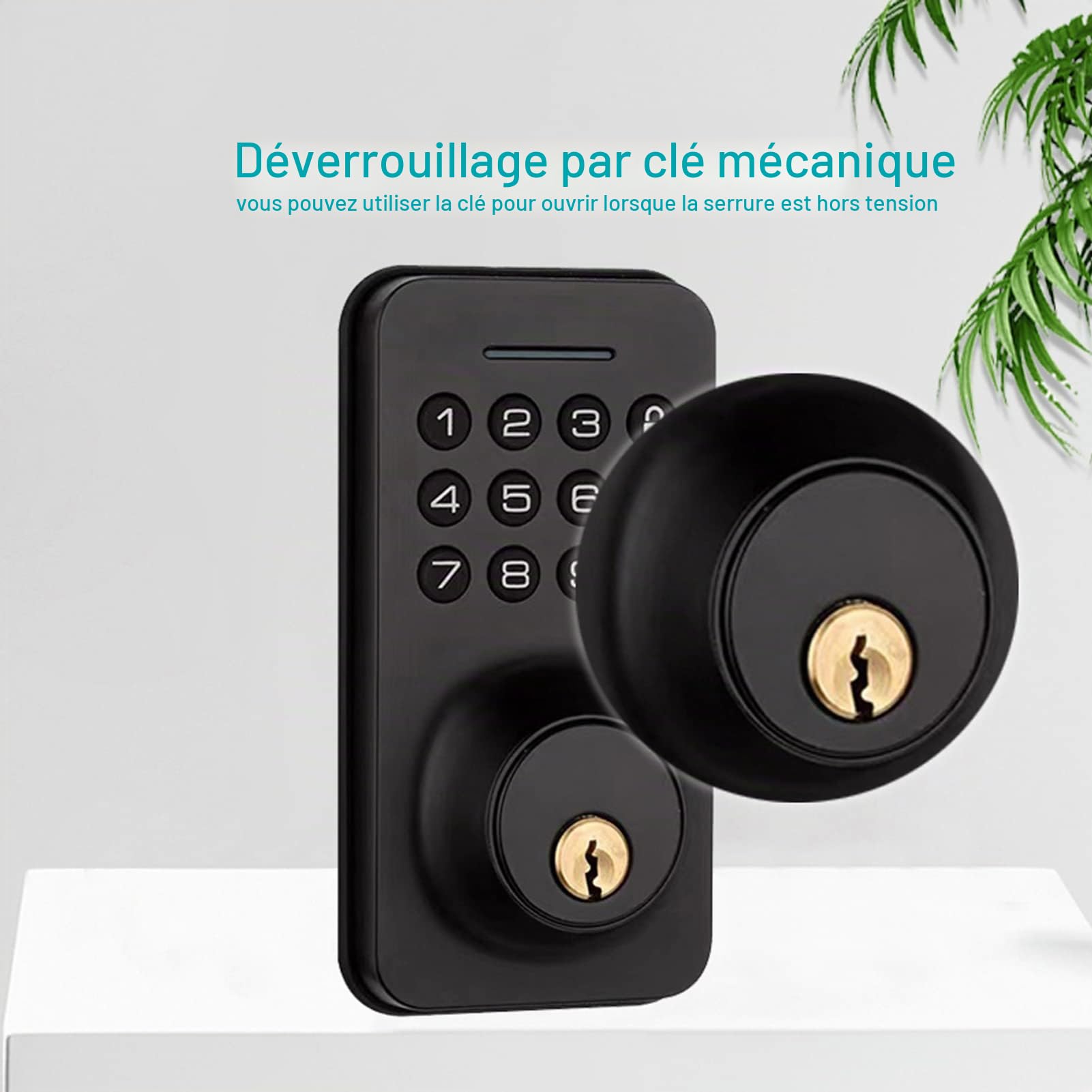 Serrure de Porte d'entrée sans clé avec Clavier, Serrure à pêne Dormant Intelligente avec 2 clés, Mot de Passe/clé mécanique/Application Tuya/déverrouillage Manuel