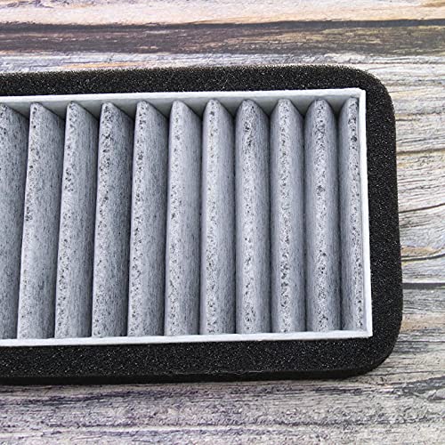 1 filtro dell'aria per l'ingresso dell'aria