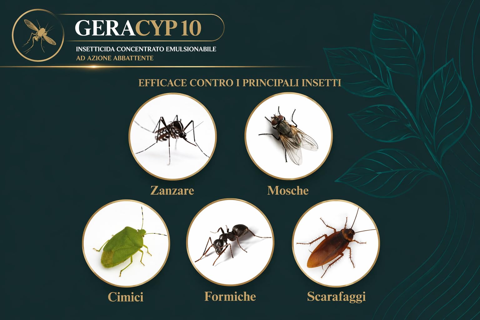 Ossian Geracyp 10 - Insetticida Antizanzare, Formiche, Scarafaggi, Insetti Striscianti e Volanti, Concentrato con Cipermetrina e Geraniolo, Effetto Residuale, Gradevole Profumazione (1 PZ, 1 LT)