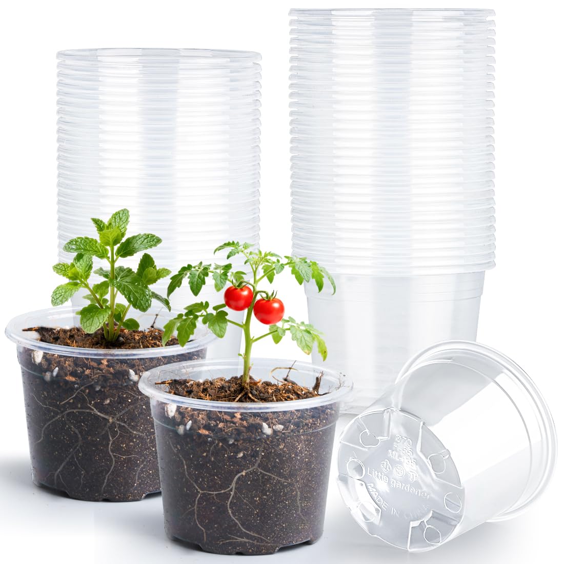 RooTrimmer 100 Pack Clear Plant Pots
