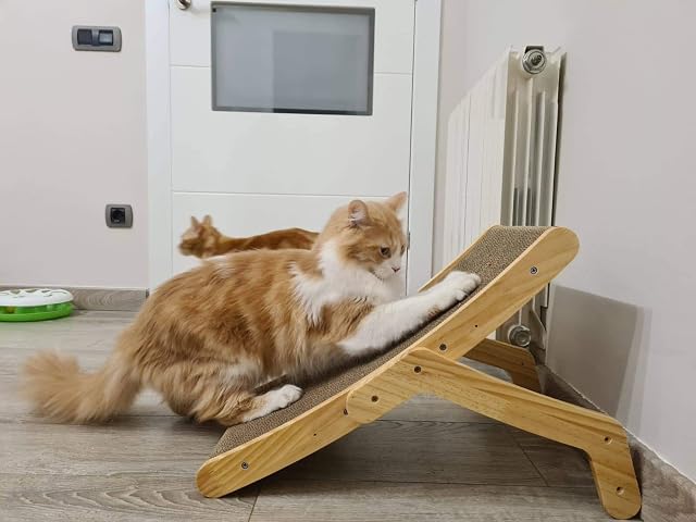 Petioto Rascador de cartón y Madera para Gatos