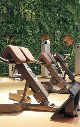 Mim Usa Commercial Roman Chair Hyperextension Bench | Professional Back Extension #TOP7