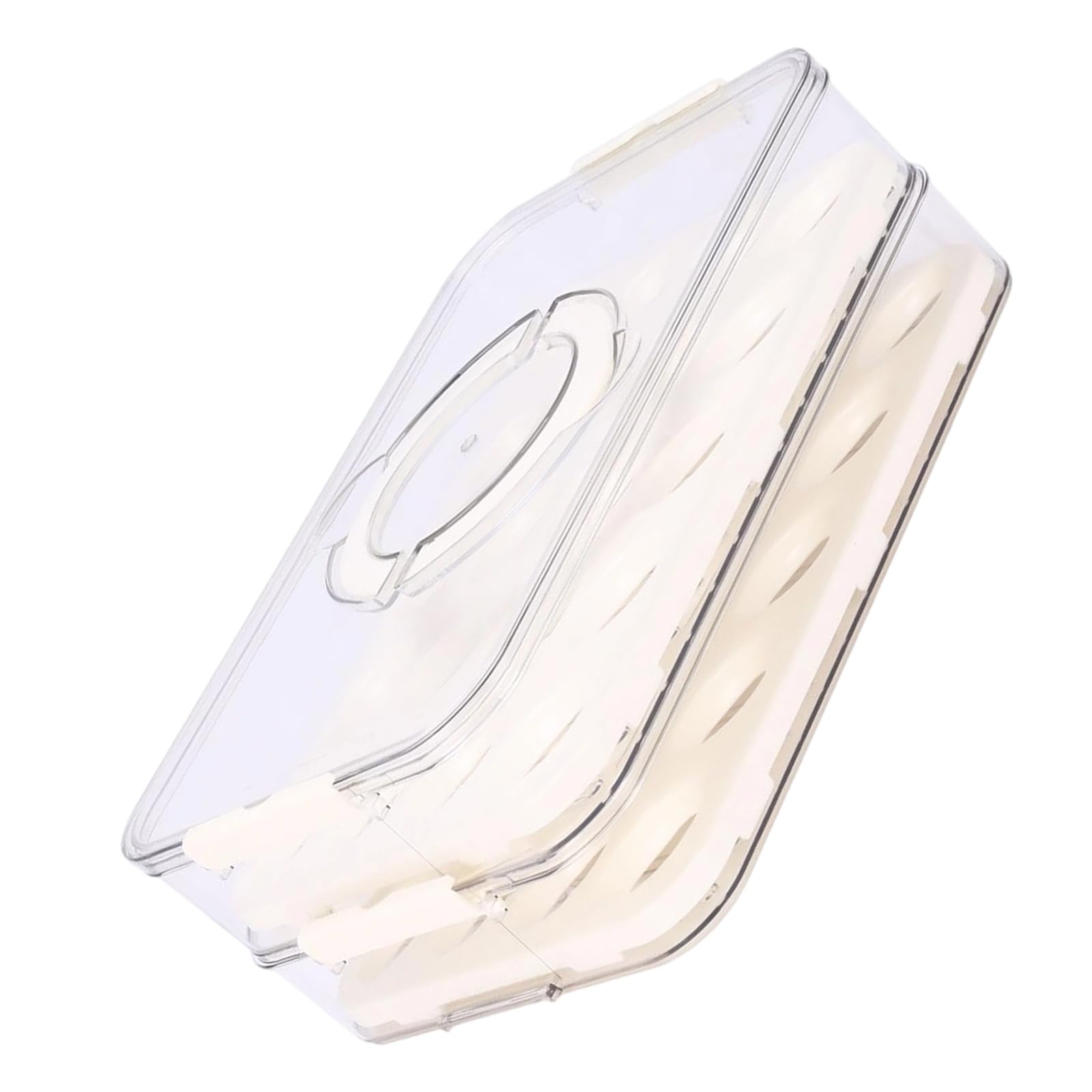 Tsophreniq Stackable Two Layer Refrigerator Oocyte Planner Large Capacity Holds 40 Embryos with Tight Lid Food Grade Easy Neat Perspective SealedLidBox