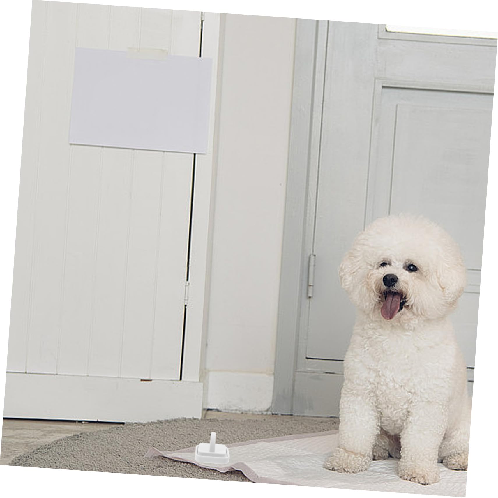 YARNOW 4pezzi Supporto Magnetico Per Traversine Per Cani Holder Per Tappetini Igienici Facile Installazione Su Muro Design Portatile e Adesivo Per Famiglie Con Animali Domestici