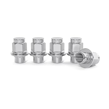 Set of 20pcs Chrome 12x1.25 Closed End Lug Nuts - OEM Mag
