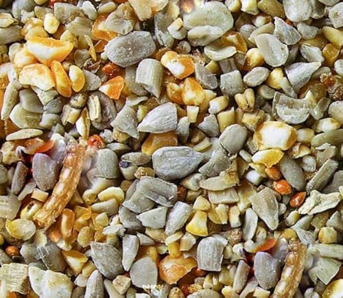 BusyBeaks Robin & Songbird Feed | Premium Grade Garden Wild Bird Feed | Husk Free, No Germinating Seeds | Includes Nutritious, Fresh and Natural Ingredients | Protein Fat Fibre Oil Vitamins (5kg)