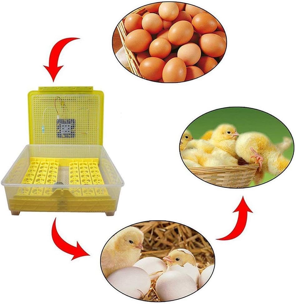Incubatori Incubatrice Digitale Completamente Automatica for 48 Uova di Gallina, Oca e Anatre, con Controllo Intelligente della Temperatura.(Dual Power Supply)
